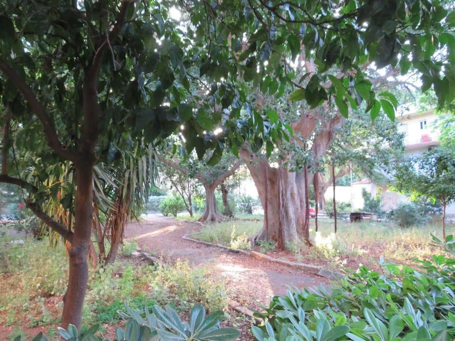 Relax Nel Verde- Giodapi Palm Palermo Dış mekan fotoğraf